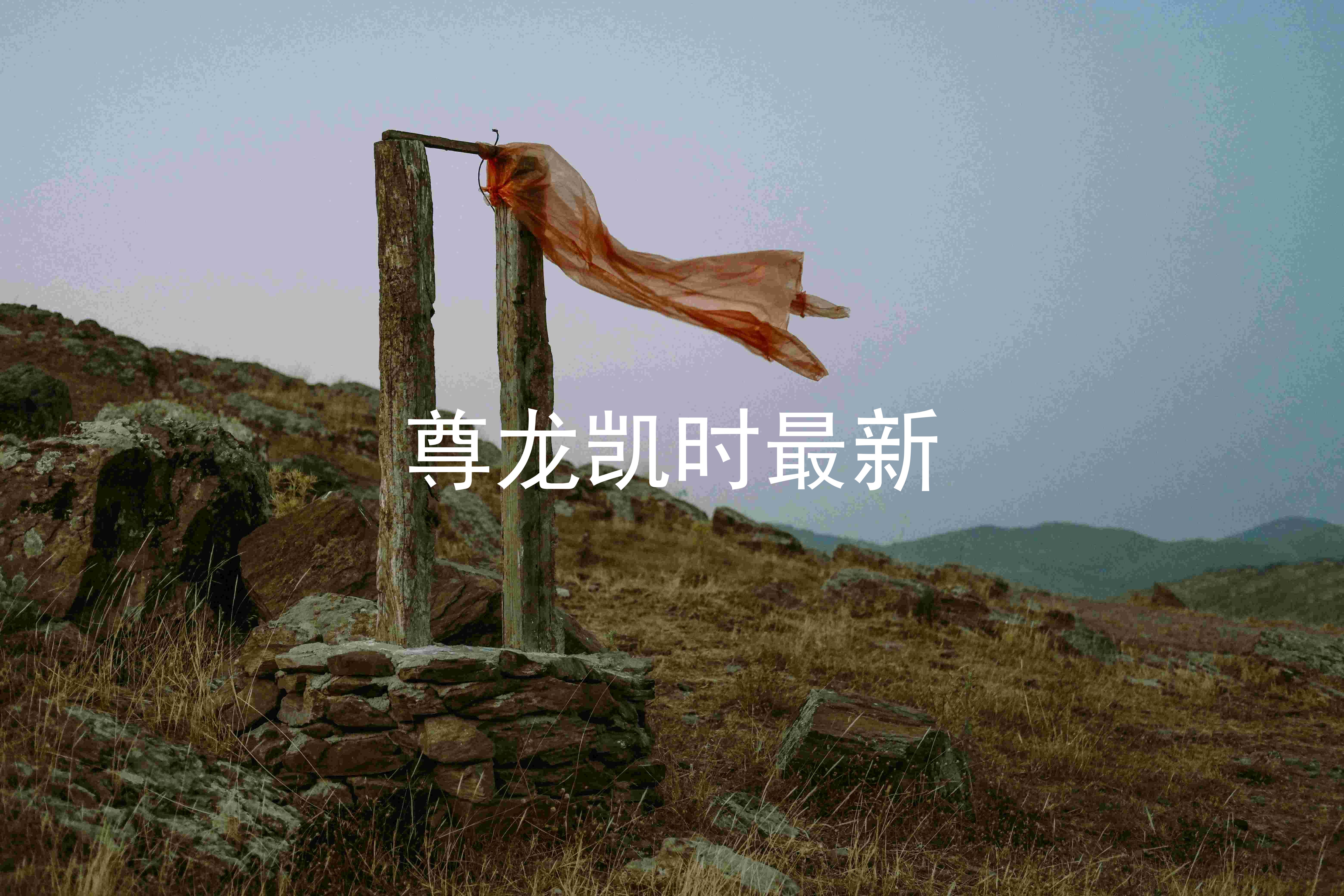 尊龙凯时最新