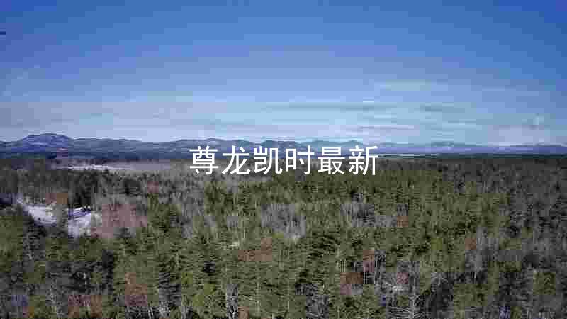 尊龙凯时最新