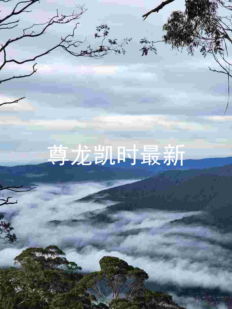 尊龙凯时最新