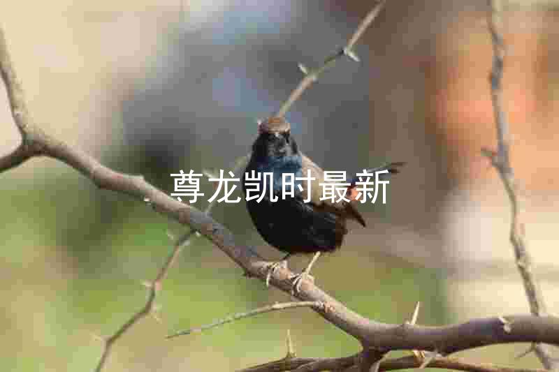 尊龙凯时最新