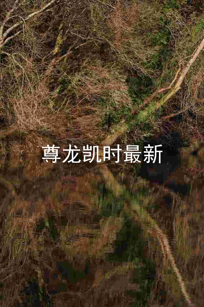 尊龙凯时最新