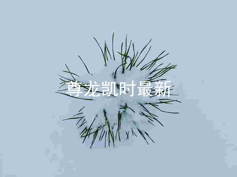 尊龙凯时最新