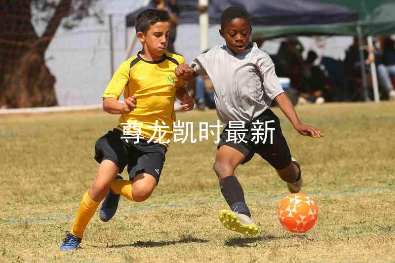 尊龙凯时最新