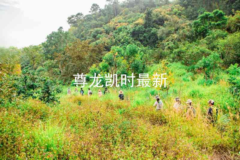 尊龙凯时最新