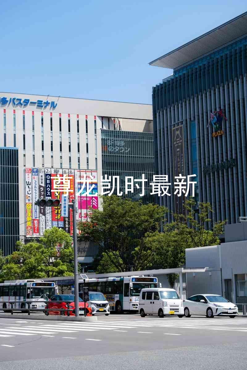 尊龙凯时最新