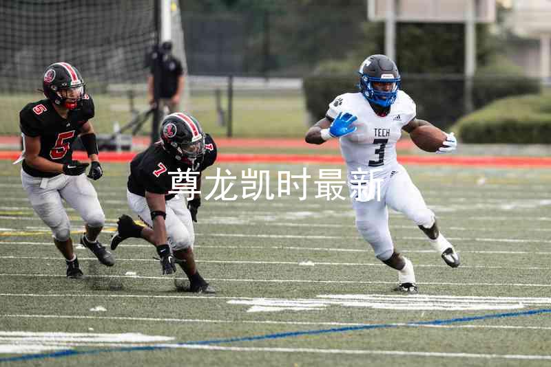 尊龙凯时最新