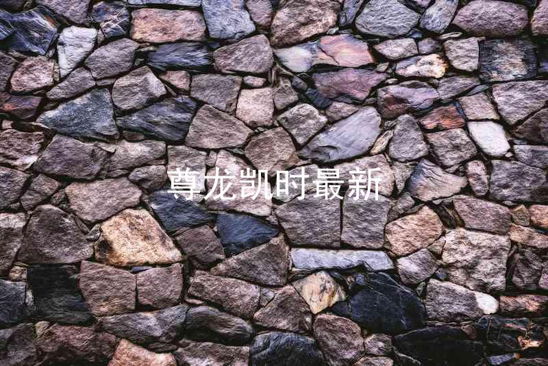 尊龙凯时最新